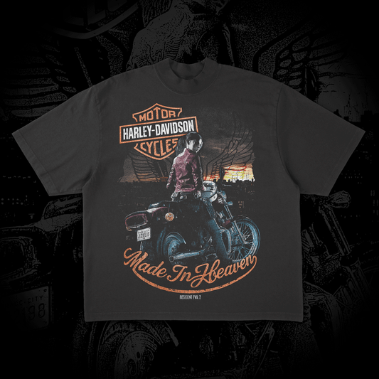 RE2 X Harley Davidson